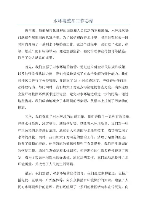 水环境整治工作总结