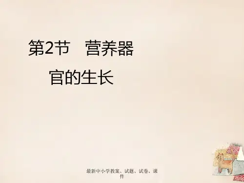 七年级生物上册 6.2 营养器官的生长课件(2) 北师大版
