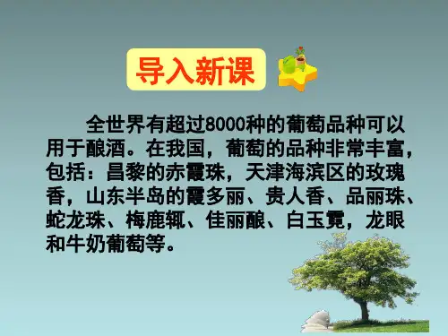 人教生物选修1专题1课题1果酒和果醋的制作 课件
