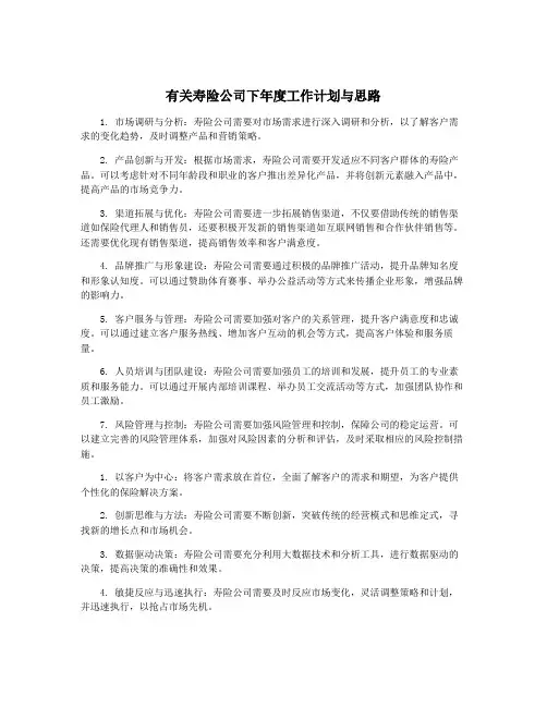 有关寿险公司下年度工作计划与思路
