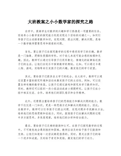 大班教案之小小数学家的探究之路