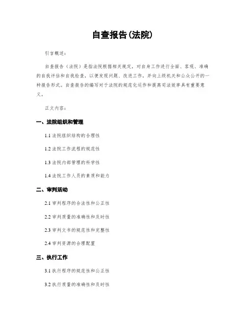 自查报告(法院)