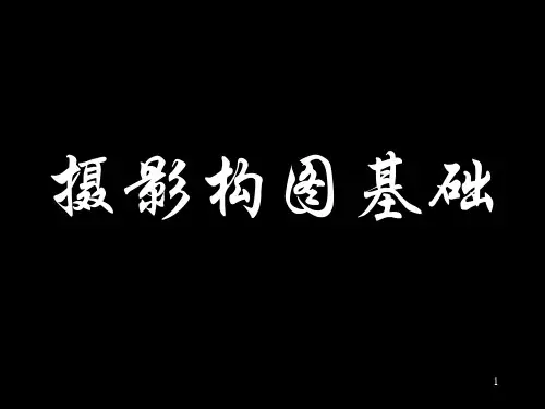 第九章1摄影构图基础PPT课件