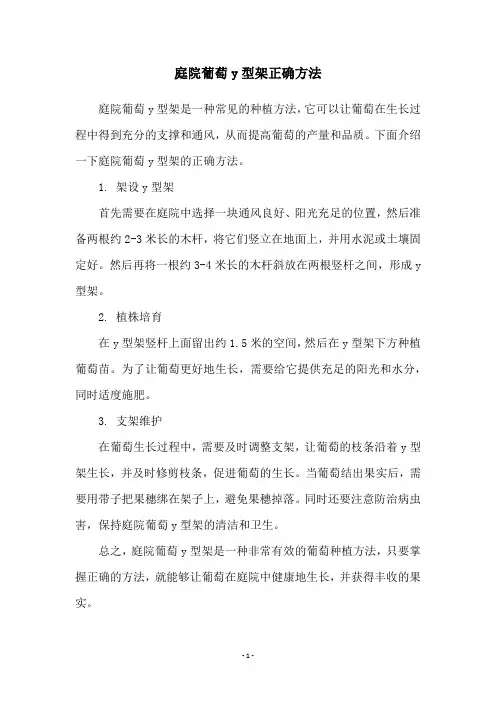 庭院葡萄y型架正确方法