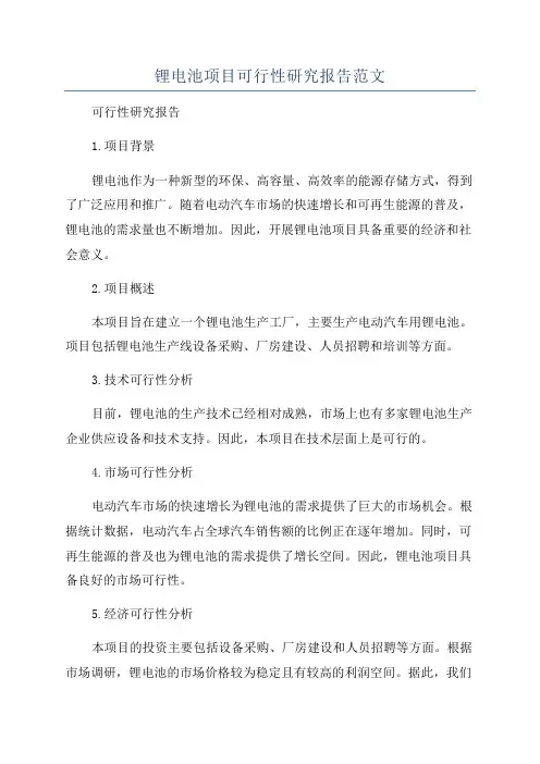 锂电池项目可行性研究报告范文