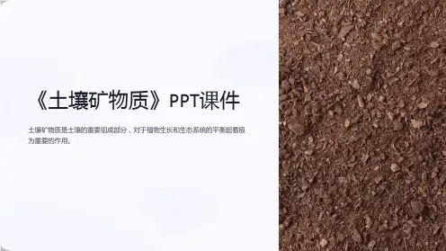 《土壤矿物质》课件