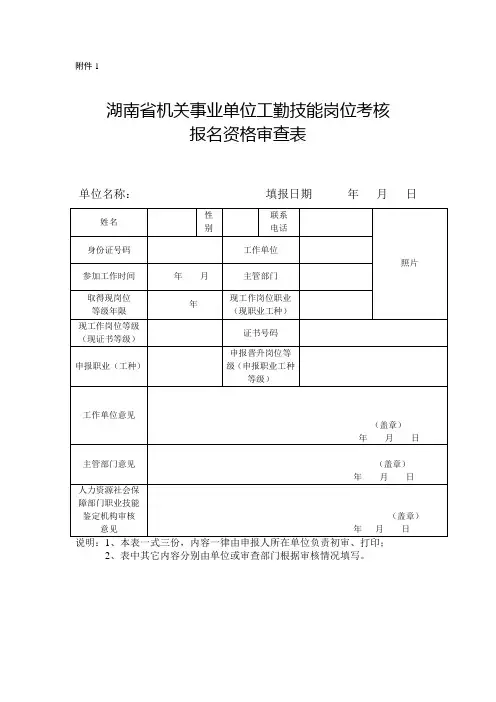 晋级个人表格电子档(姓名)