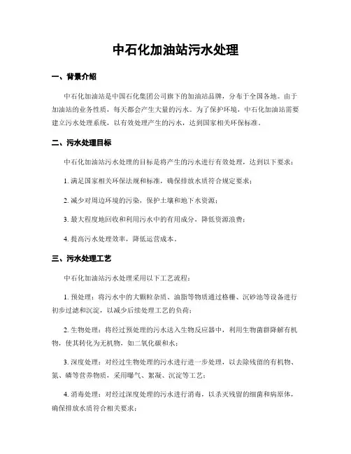 中石化加油站污水处理