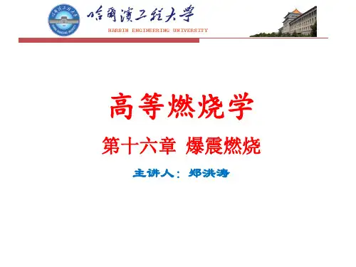 高等燃烧学讲义第16章(郑洪涛2学时)