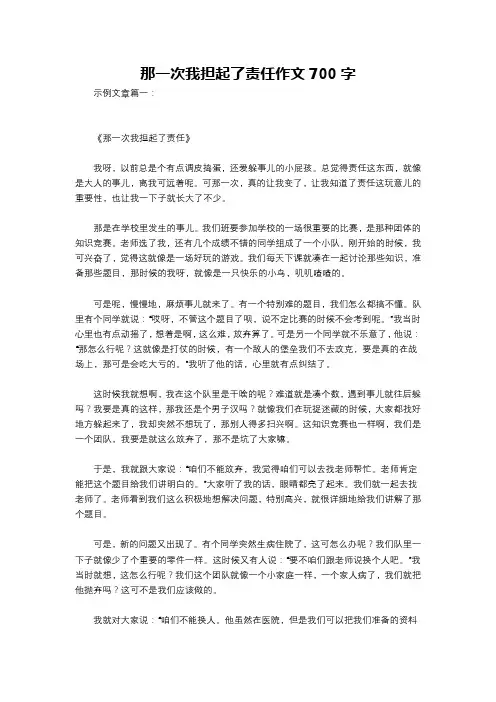 那一次我担起了责任作文700字