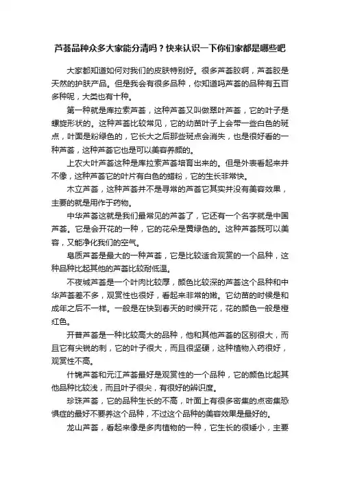 芦荟品种众多大家能分清吗？快来认识一下你们家都是哪些吧