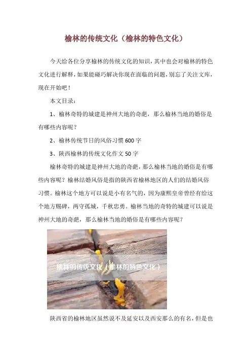 榆林的传统文化(榆林的特色文化)