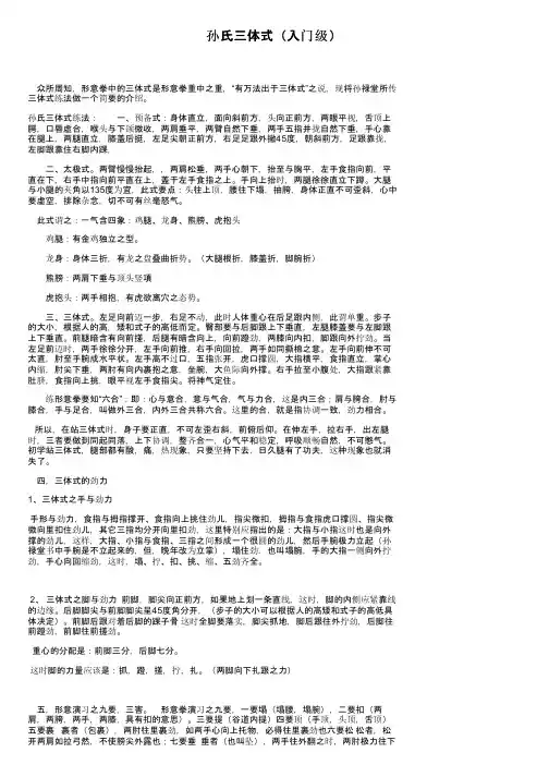 孙氏三体式（入门级）