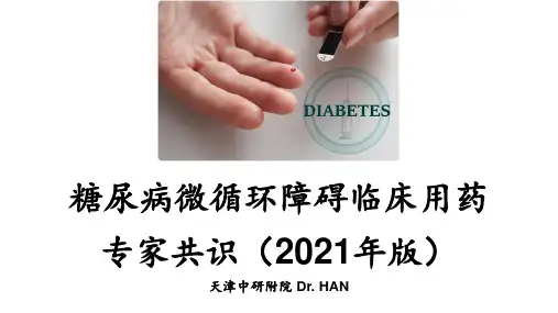 糖尿病微循环障碍临床用药专家共识(2021年版)