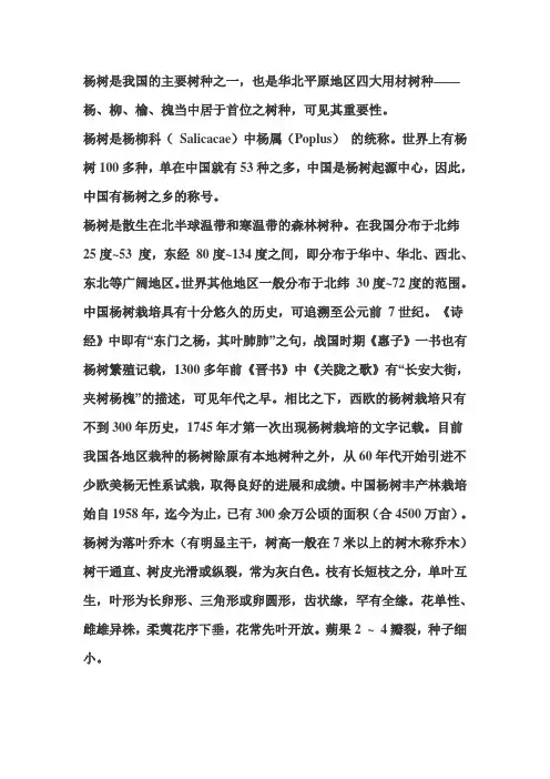 杨树的生长环境