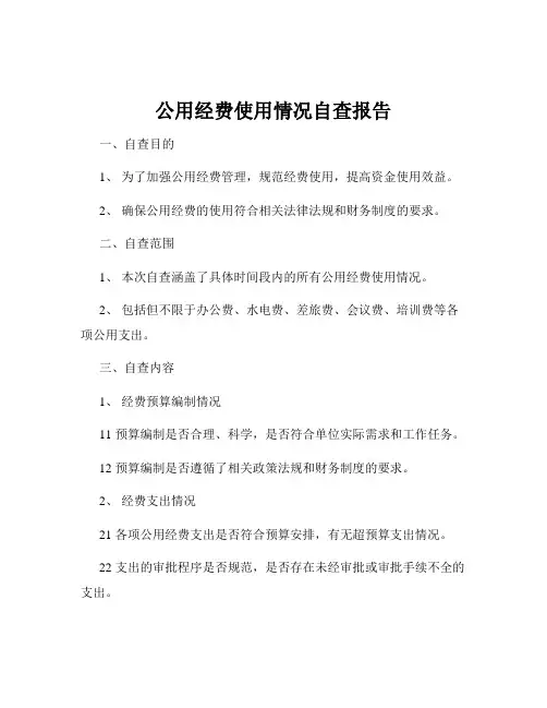 公用经费使用情况自查报告