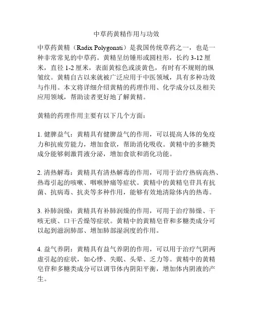 中草药黄精作用与功效