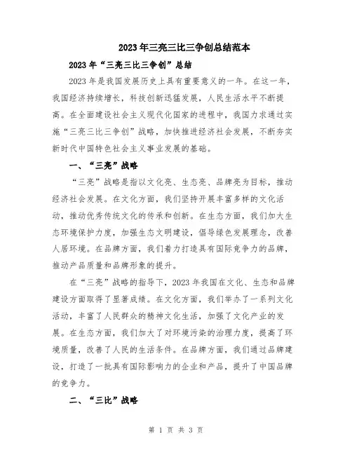 2023年三亮三比三争创总结范本