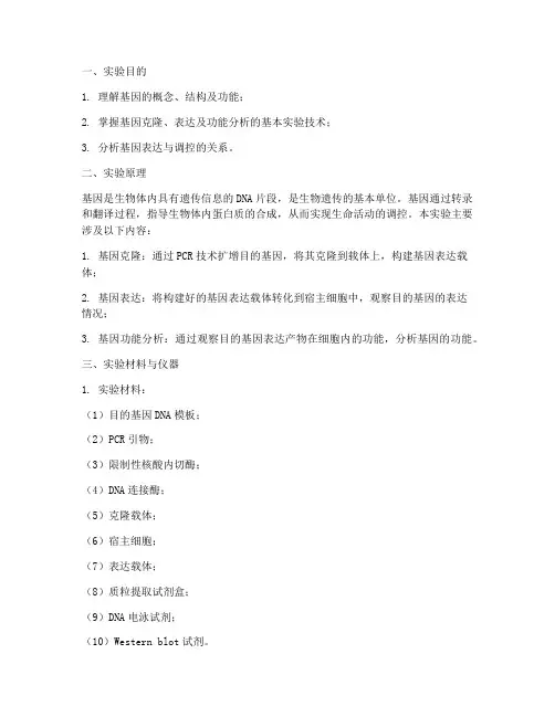 基因的实验报告
