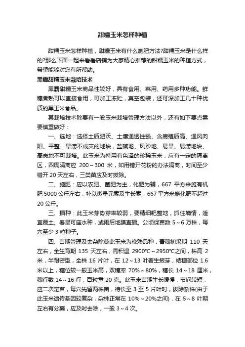 甜糯玉米怎样种植