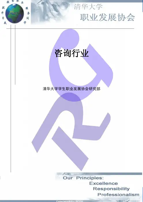 咨询行业调研报告
