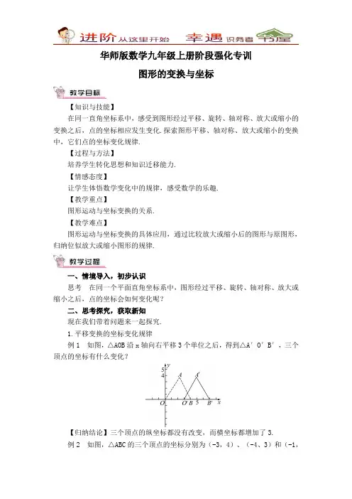 华师版数学九年级上册强化专训：图形的变换与坐标