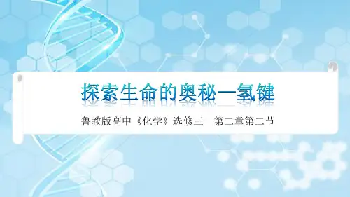 2.2.3氢键与物质性质+2023-2024学年高二下学期化学鲁科版(2019)选择性必修2