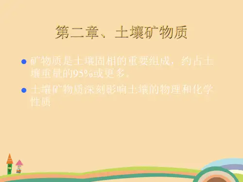 农业类土壤矿物质PPT教学课件