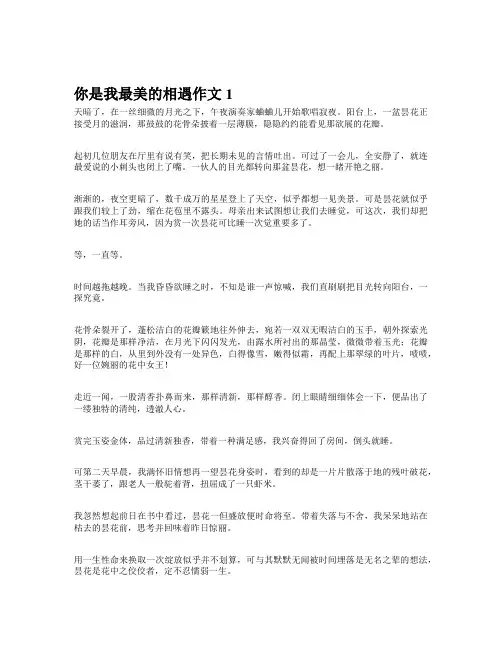 作文你是我最美的遇见500字