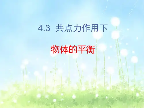 43  共点力的平衡及其应用 (上课用)精品PPT课件