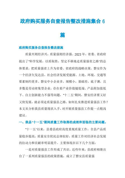 政府购买服务自查报告整改措施集合6篇
