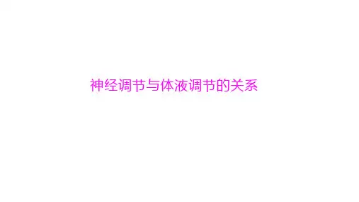 神经调节与体液调节的关系  课件