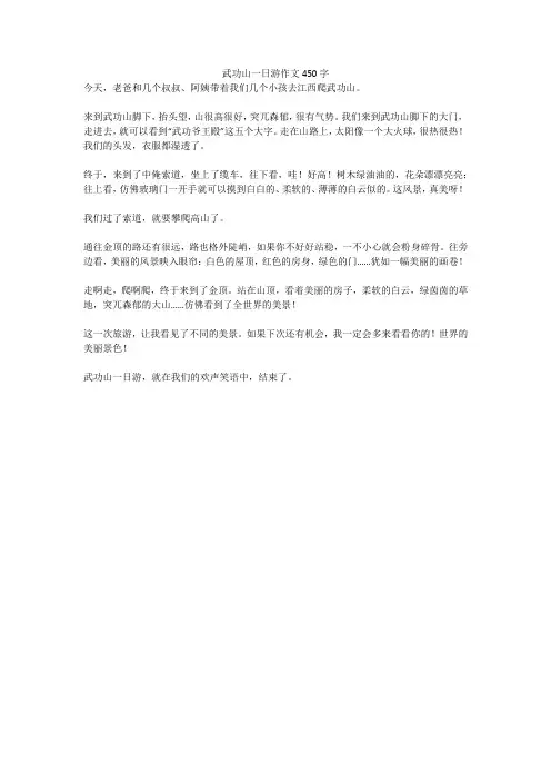 武功山一日游作文450字(高分作文)