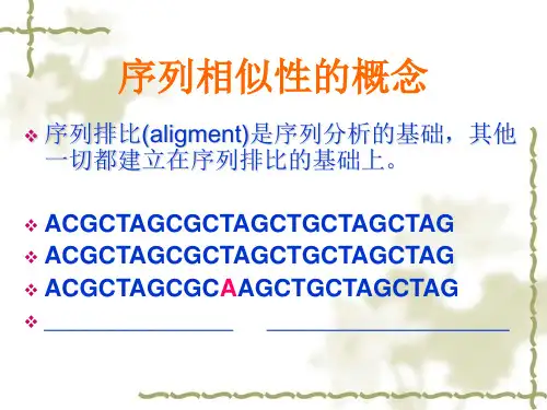 序列相似性的概念