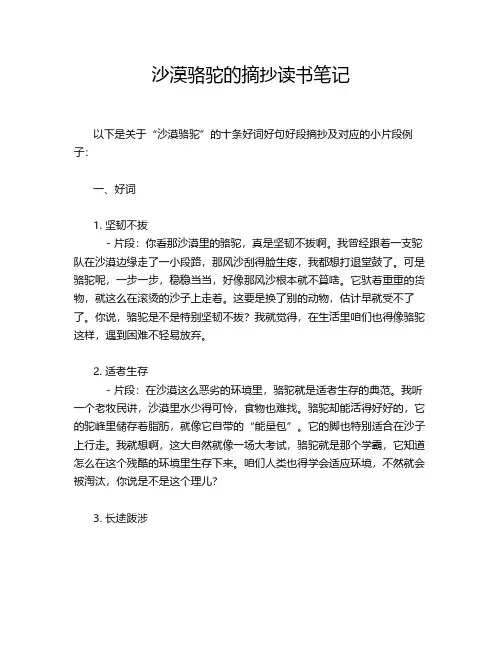 沙漠骆驼的摘抄读书笔记