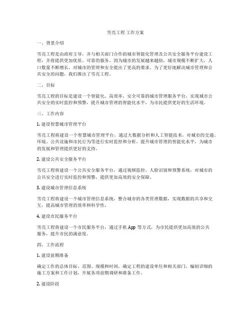 雪亮工程 工作方案