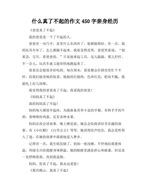 什么真了不起的作文450字亲身经历