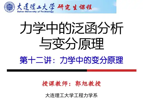 力学中的泛函分析和变分原理第十二讲