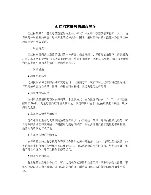 西红柿灰霉病的综合防治