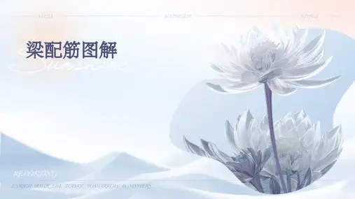 梁配筋图解(很全)