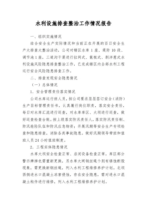 水利设施排查整治工作情况报告
