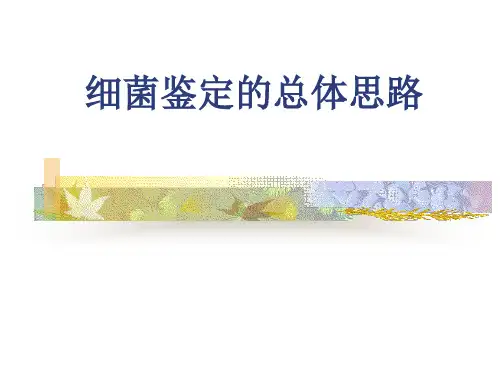 细菌鉴定的总体思路