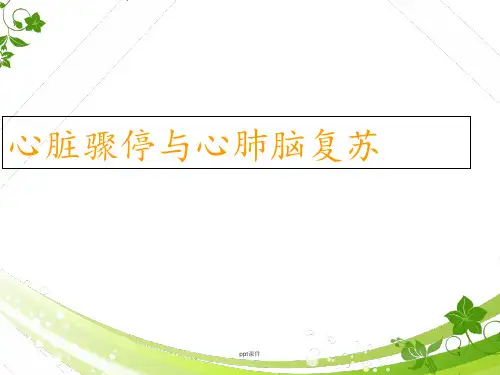 心脏骤停与心脑肺复苏  ppt课件