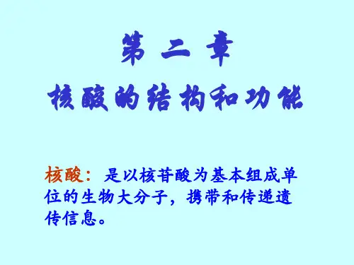 二章核酸的结构和功能