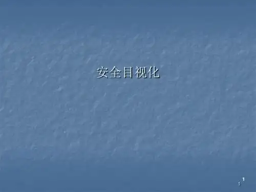 安全目视化ppt课件