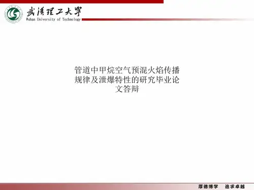 管道中甲烷空气预混火焰传播规律及泄爆特性的研究毕业论文答辩