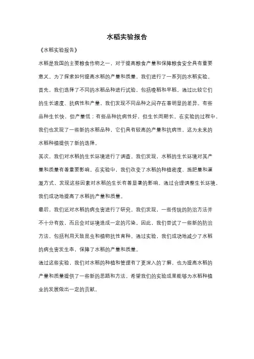 水稻实验报告