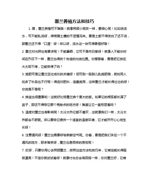 墨兰养殖方法和技巧