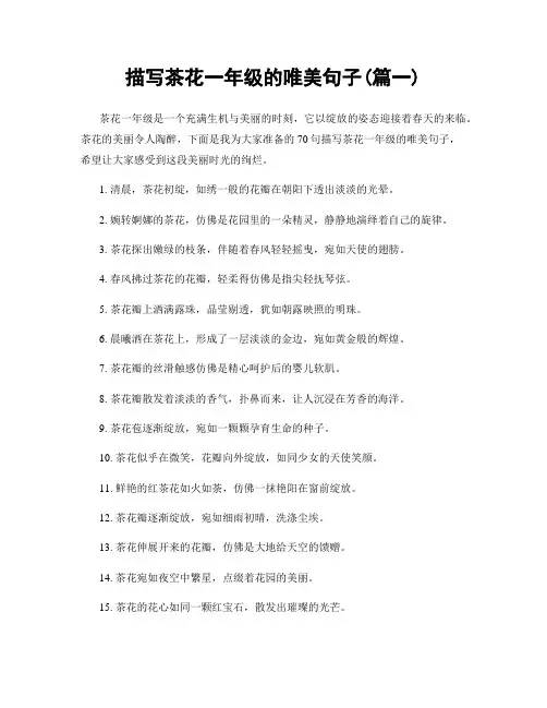 描写茶花一年级的唯美句子(精选两篇)