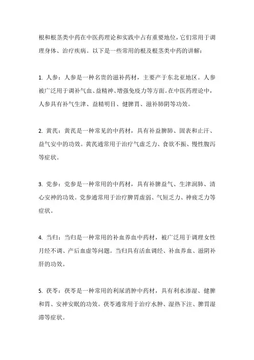 常用根及根茎类中药的讲解